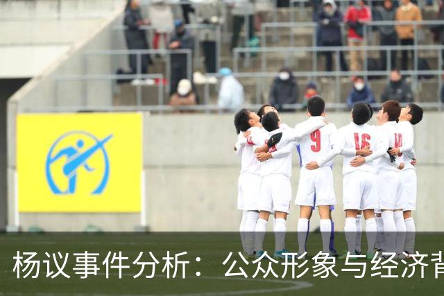 杨议事件分析：公众形象与经济背景的复杂关系